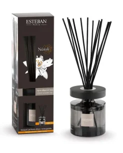 Bouquet parfumé et recharge Esteban Ellipse marron parfum Néroli - 200 ml