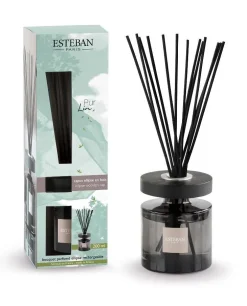 Bouquet parfumé et recharge Esteban Ellipse bleu parfum Pur Lin - 200 ml
