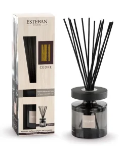 Bouquet parfumé et recharge Esteban Ellipse beige parfum Cèdre - 200 ml