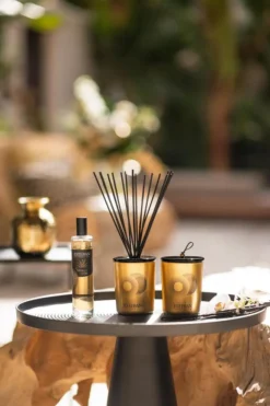 Bouquet parfumé et recharge Esteban collection Vanille d'or – 100 ml