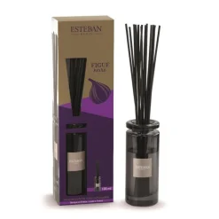 Bouquet parfumé initial + recharge senteur figue noire Esteban - 100 ml