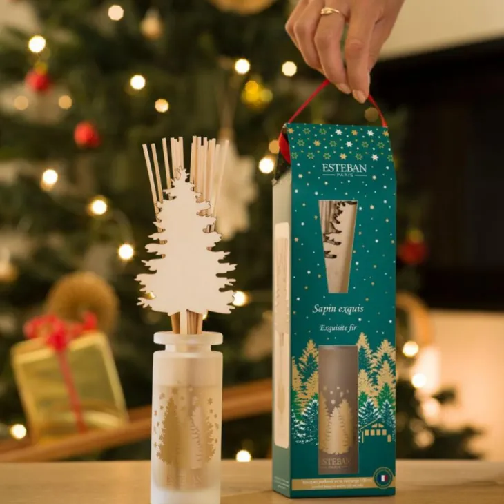 Bouquet parfumé initial + recharge Esteban Sapin exquis - 100 ml