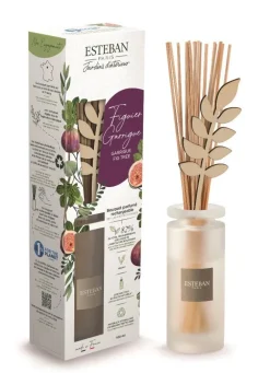 Bouquet parfumé initial avec recharge Figuier Garrigue Esteban - 100 ml