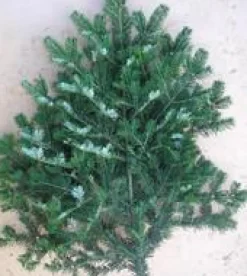 Branche de sapin Nordmann vert pour décoration de Noël - 100/120 cm