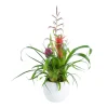 BROMELIA COUPE