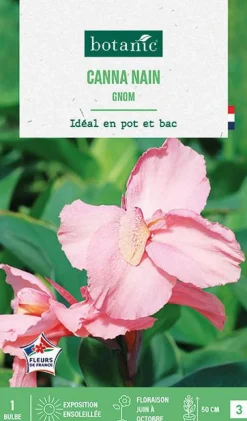 Bulbe de fleurs Canna Gnom botanic® - 1 bulbe