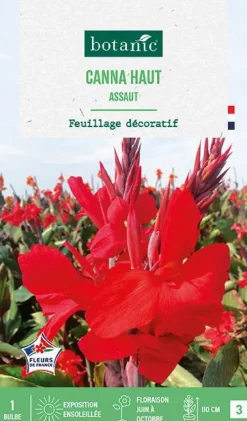 Bulbe de fleurs Canna Haut Assaut botanic® - 1 bulbe