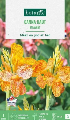 Bulbe de fleurs Canna haut En avant botanic® - 1 bulbe