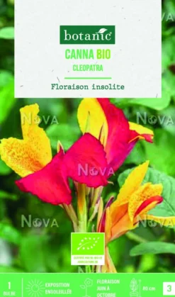 Bulbe de fleurs Canna Indica Cleopatra bio botanic® - 1 bulbe