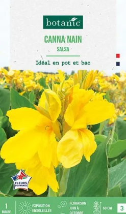 Bulbe de fleurs Canna nain Salsa botanic® - 1 bulbe