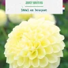 Bulbe de fleurs Dalhia balle Jowey Martina botanic® - 1 bulbe