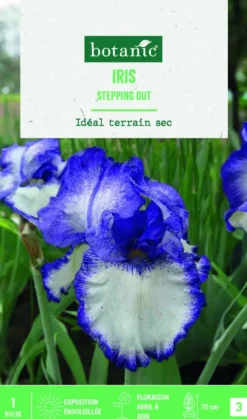 Bulbe de fleurs Iris Germanica Stepping out botanic® - 1 bulbe
