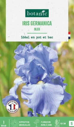 Bulbe de fleurs Iris Germanica bleu botanic® - 1 bulbe