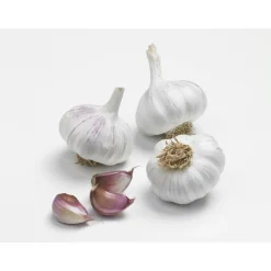 Bulbes d’ail rose gardos calibre 50+, 500 g