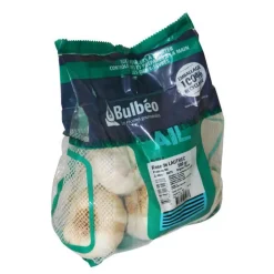 Bulbes d’ail rose lautrec calibre 50+, 500 g