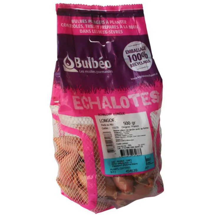 Bulbes d’échalotes longue Longor calibre 15/35, 500 g