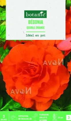 Bulbes de fleurs Bégonia double orange botanic® - 3 bulbes
