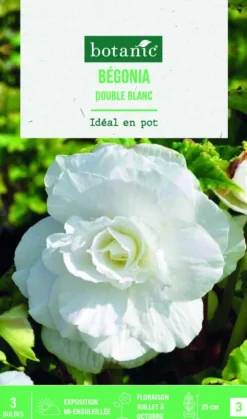 Bulbes de fleurs Bégonia double blanc botanic® - 3 bulbes