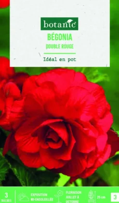 Bulbes de fleurs Bégonia double rouge botanic® - 3 bulbes