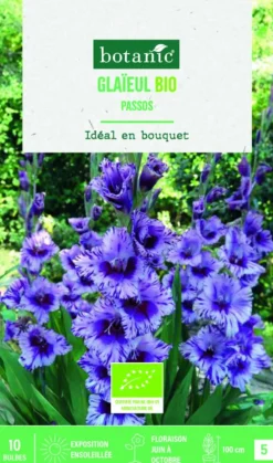 Bulbes de fleurs Glaïeul grandes fleurs Passos bio botanic® - 10 bulbes