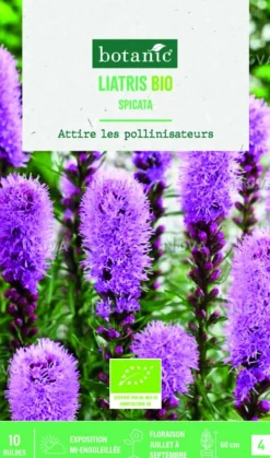 Bulbes de fleurs Liatris Spicata bio botanic® - 10 bulbes