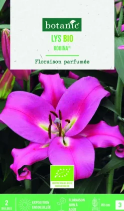 Bulbes de fleurs Lys oriental Robina bio botanic® - 2 bulbes