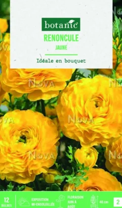 Bulbes de fleurs Renoncule asiatique jaune botanic® – 12 bulbes