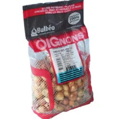 Bulbes d’oignons jaune paille des vertus 500 g