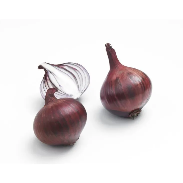 Bulbes d’oignons rouge akado 250 g