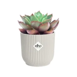 Cache pot blanc soie Elho Vibes fold mini - Ø 11 cm