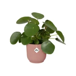 Cache pot rose poudré Elho Vibes fold - Ø 14 cm