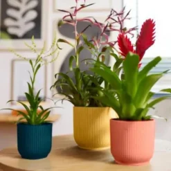 Cache pot rose poudré Elho Vibes fold - Ø 14 cm