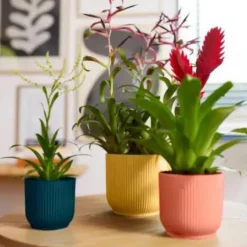 Cache pot rose poudré Elho Vibes fold - Ø 22 cm