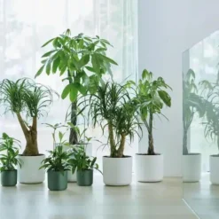 Cache pot vert leaf green Elho b.for soft - Ø 18 cm