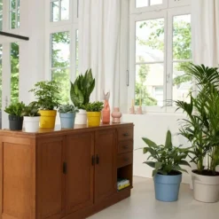 Cache-pot B.for original ronde Ø 14 x 12,8 cm polypropylène injecté