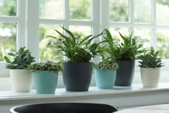 Cache-pot Brussels rond Ø 16 x 14,6 cm polypropylène injecté