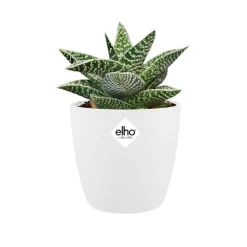 Cache-pot Brussels rond mini Ø 10,5 x H 9,7 cm Polypropylène injecté