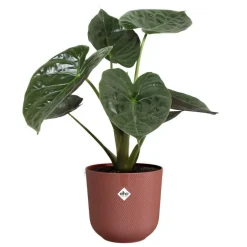 Cache-pot coloris rouge Jazz Elho - Ø 26 cm