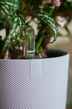 Cache-pot coloris violet Jazz Elho - Ø 26 cm