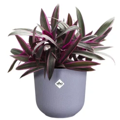 Cache-pot coloris violet Jazz Elho - Ø 14 cm