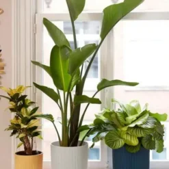 Cache-pot Elho Vibes fold blanc soie - Ø 14 cm