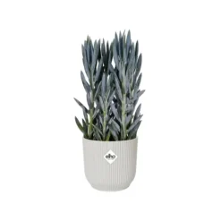 Cache-pot Elho Vibes fold blanc - Ø 22 cm