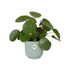 Cache-pot en plastique recyclé vert sorbet Elho Vibes fold rond- Ø 18 cm