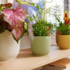 Cache-pot en plastique recyclé vert sorbet Elho Vibes fold rond - Ø 14 cm