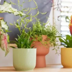 Cache-pot en plastique recyclé vert sorbet Elho Vibes fold rond mini - Ø 9 cm