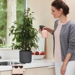 Cache-pot gris anthracite Elho b.for soft - Ø 14 cm