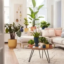 Cache-pot rose poudré Elho Vibes Fold Roues - Ø 35 cm