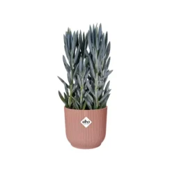 Cache-pot rose poudré Elho Vibes fold - Ø 25 cm