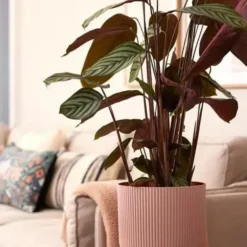 Cache-pot vibes fold rose Ø16 cm