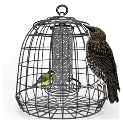 Cage de protection anti-étourneaux noire en métal Ø 27,5 x 25 cm